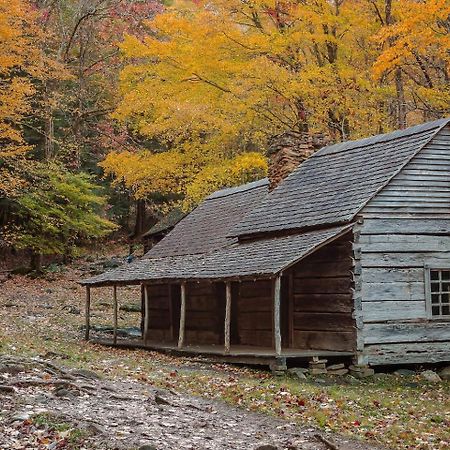 Romantic Mtn Cabin Hot Tub & Jacuzzi Views سيفيرفيل المظهر الخارجي الصورة